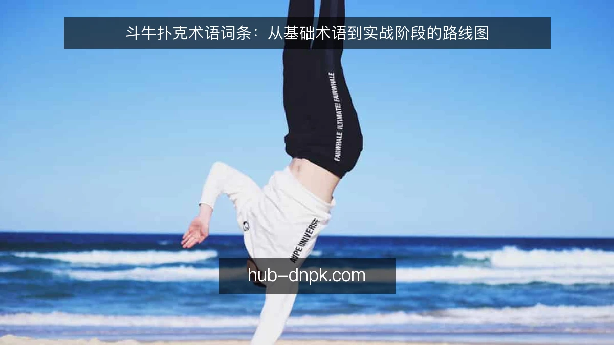 斗牛扑克术语词条:从基础术语到实战阶段的路线图